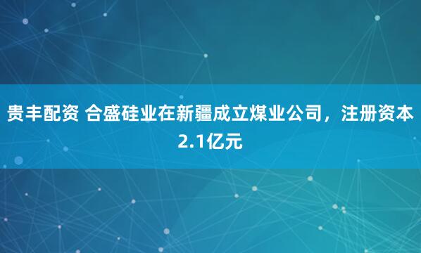 贵丰配资 合盛硅业在新疆成立煤业公司，注册资本2.1亿元