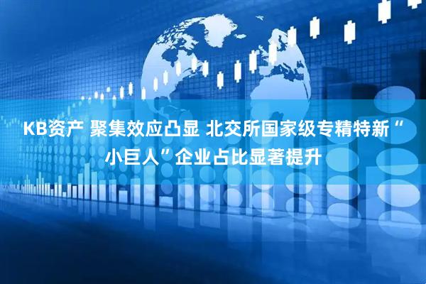 KB资产 聚集效应凸显 北交所国家级专精特新“小巨人”企业占比显著提升