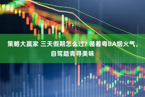 策略大赢家 三天假期怎么过? 循着粤BA烟火气，自驾踏青寻美味